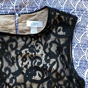 loft ann taylor lace shift dress
